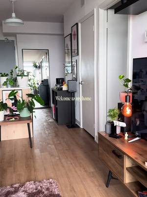 A very mini tour of my home🙂‍↕️ #homeinspo #interiordesign #cozyhome #homedecor #houseplants 