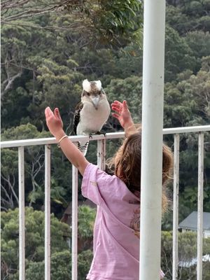 Soul making friends with a kookaburra is so on brand
