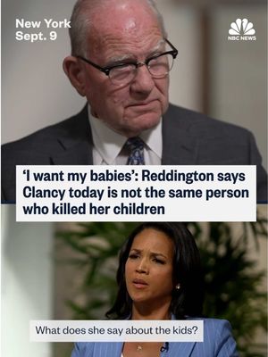 Defense attorney Kevin Reddington says that Lindsay Clancy “constantly” asks for her “babies,” and that “she was and is a wonderful person.” Watch Laura Jarrett's extended interview with Kevin Reddington on the NBC News app or NBCNews.com.