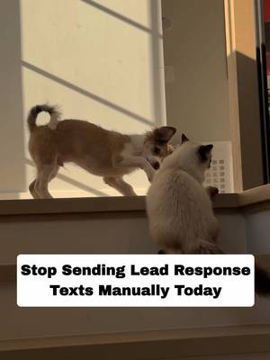 Delegating lead response and reminder texts to AI allows your team to focus strictly on closing sales and building high-value client relationships. DM scale with AI to learn how to scale your business 🔗 #BusinessAutomation #AIAutomation #TeamStructure #MarketingStrategy #ScaleWithAI 