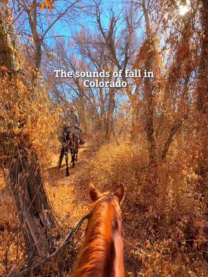 Shh.. do you hear that? 🤫 It’s the sound of us running off to another Colorado mountain town. ⛰️🍁