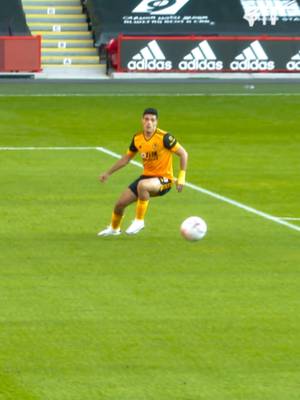 This technique from Raul 🤌🇲🇽 @raul_jimenez9 #wolves #highlights #rauljimenez