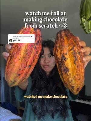 Replying to @Bianca Fernandez 🇵🇭 can’t win them all 💔  this was 100% my fault because i left for a trip, and didn’t let them sun dry long enough! i totally could’ve dried them in the oven too, but i was pinched for time 😪  will be trying again very soon, stay tuned! #BitesByBianca #HomemadeChocolate #CacaoPods #NYCCreator 