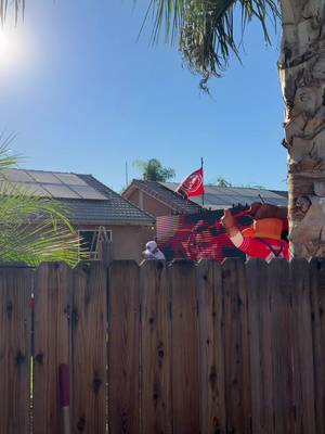 Pinche #rams con eso tienen o quiren mas!! @ogcarnal been celebrating all Morning!! #fyp #cowboys #49ers #puropinchecowboys