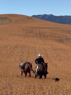 Some things out West haven't changed much. 🎥: Ghavan Schiess #meateater #thewest #hunttok
