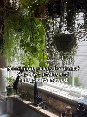 A curtain rod for 🪴? Brilliant! Would you try this? 📸: @lorrileezander #houseplants #plantgoals #howihome #homedecorideas