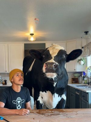 Bruce vs. ghost! 👻 #cow #brucethecow #animals #farm 