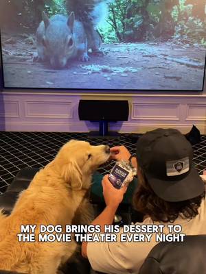 Not my dog needing dessert and a show before bed… 10hour squirrel videos ftw🙈 #goldenretriever #goldenretrieverlife 