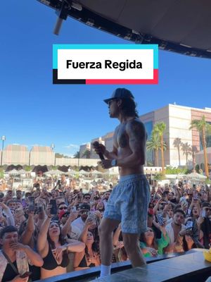 Fuerza Regida. Palm Tree Beach Club. Viva México. 🇲🇽 @Moiseslopezfr 