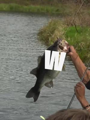 Caught the W 🎣 #football #nfl #giants #newyorkgiants #win 