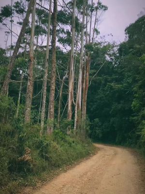 #paisajesnaturales🏞🏔😍✨🌲#videoviral 