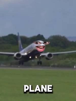buy your own plane 🥱 #stitch w/ @NIAMH DOHERTY #ryanair 