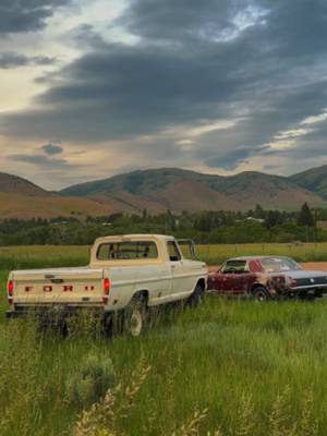 Two pretty best (vintage) friends. 🎥 @strbstang