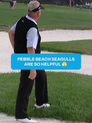 The seagulls are just trying to help 😂 #golf #PGATOUR #animals #funny #wildlife 