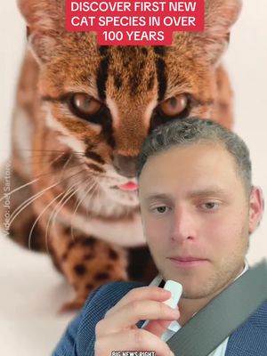 #greenscreen 9/17