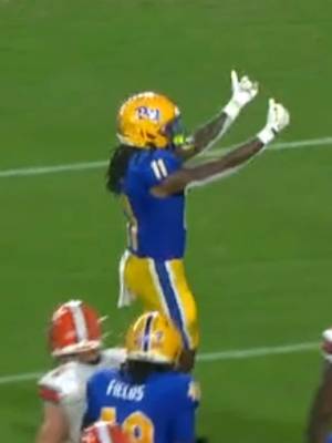 A little Mason magic 🪄 + a Panther TD!! #H2P #football #CollegeFootball 