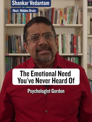 When psychologist Gordon Flett was hospitalized with liver failure, a nurse sat with him for hours in the dark. She didn't just check on him. She talked to him, like he was a person and not just a patient in a bed. That experience shaped Flett's research for years afterward. Now a psychologist at York University, he's spent his career studying what he calls mattering: the felt sense that you're noticed and significant to the people around you. When that feeling is missing, Flett's research links it to depression and loneliness, and in extreme cases, to violence. Some researchers who study school shooters have found loneliness and alienation running through many of their histories, along with a grim pattern: when every ordinary path to feeling significant seemed closed off, a few chose infamy instead. But the need to matter is universal, and meeting it doesn't have to be complicated. Sometimes the simplest thing you can do for another person is let them know you see them.