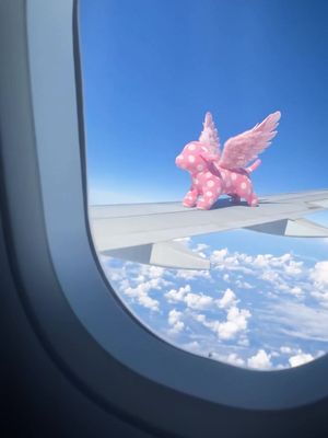 Only one more month until this Mini gets to sport her brand-new wings at the Victoria’s Secret Fashion Show. 🪽🩷  #VSPINK #VSFS #VSFashionShow 