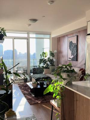 Honestly, one of my favourite parts of my home🙂‍↕️ #cozyhome #homedecor #homeinspo #interiordesign #houseplants 