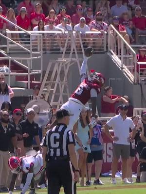 UNREAL CATCH BY CHRIS MARSHALL 🤯 @RazorbackFB x 📺 ABC
