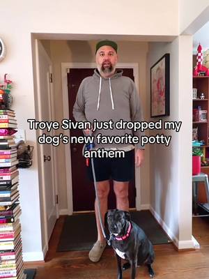 Ruby loves a potty banger #dogs #troyesivan 