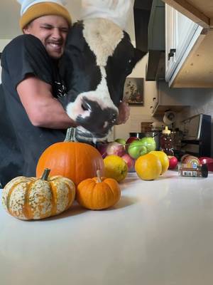 Trying to make apple cider with Bruce! #cow #brucethecow #farm #animals 