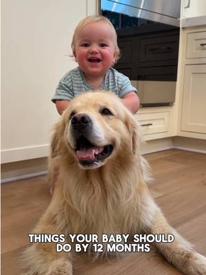 If you’re 12 month old isn’t doing chores then what are they doing????