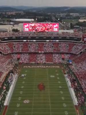The pride. The tradition. The state we’re proud to call home. #WPS #ArkansasRazorbacks #TysonFoods @razorbacksofficial