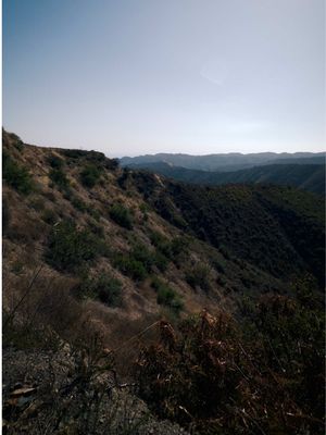 A much needed escape after the chaos of the cross-country move and LA traffic 😅 #WestridgeCanyonback #SantaMonicaMountains #LAHikes #LosAngelesHiking #DogFriendlyLA  