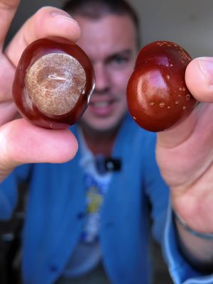 forget iPads.. bring back CONKERS!