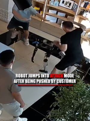WATCH: A store robot appears ready to throw hands after a customer gives it a shove in Russia. Security video from the store shows the robot approaching a man before he pushes it away. The robot pushes back, takes what looks like a fighting stance and starts throwing punches and kicks as people rush in to intervene. The robot’s operator said it was unclear whether a software glitch or the physical contact triggered the behavior.