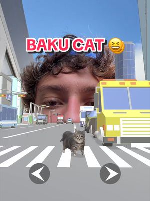 We haven’t found any cats in Baku yet so we brought the cats to Kimi 😆 #KimiAntonelli #Cat #SpinningCat #Mercedes #F1 
