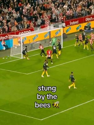 stung by the bees x