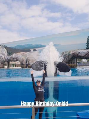 Help us celebrate a very special birthday as Orkid turns 38 years old! 🎂 From the connections she’s made with her care team to the countless guests who have had the opportunity to learn about orcas through her, she’s been an important part of the SeaWorld San Diego family for nearly four decades. Cheers to another year of celebrating Orkid! From Park to Planet See it here. Save it there. SeaWorld