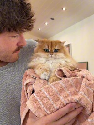 The bravest little soldier 
