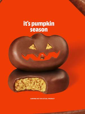 the pumpkins are here. rearrange your priorities accordingly.