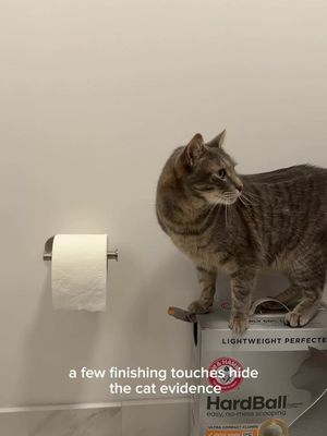 Guest bathroom? Yes. Cats bathroom? Also yes. But no one would ever know thanks to @ARM & HAMMER Cat Litter HardBall Litter 🐱 #ArmandHammerPartner
