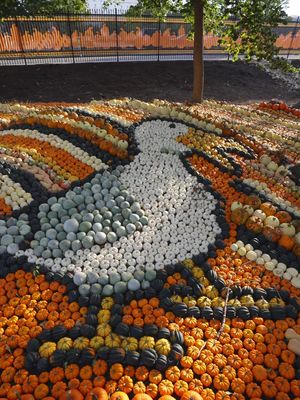 Any guesses on how many pumpkins we use for Pumpkin Hollow? 🤔 Come see them for yourself this weekend on the TT2 Midway 🎃 #HalloWeekends Round of applause for our Landscaping Team and everyone who helped bring these displays to life this year 👏