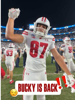 “BUCKY IS BACK! BUCKY IS BACK!” #Badgers #CollegeFootball 