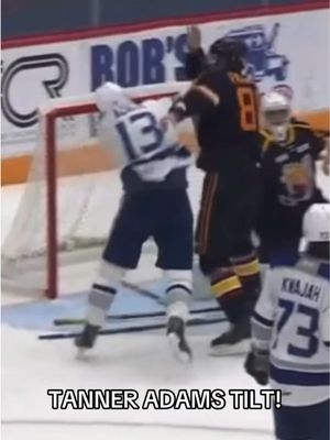 Tanner Adams gets in a tilt and the Wolves win! ELECTRIC! #fyp  #foryou #OHL 