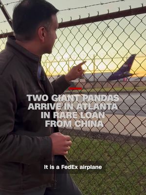 Two giant pandas on loan from the Chinese government landed in Atlanta Sunday to head to the city’s zoo. The pandas — a male named Ping Ping and a female named Fu Shuang — arrived on a FedEx flight from Chengdu, in southwestern China. Chinese leader Xi Jinping announced the rare loan on a state visit to Washington last week.