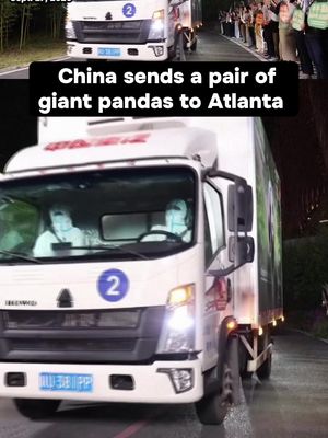 A pair of giant pandas departed Chengdu Shuangliu International Airport in southwest China's Sichuan Province on a chartered flight Sunday, bound for Zoo Atlanta, marking the beginning of their 10-year stay at the zoo. Before their departure, the Chengdu Research Base of Giant Panda Breeding held a farewell ceremony for Ping Ping and Fu Shuang, a male and female giant panda pair.