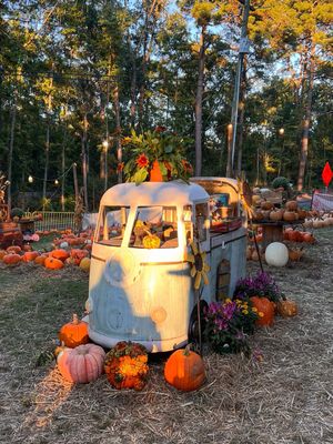 The cutest little pumpkin patch in #summervillesc 🎃 📍3408 Mistletoe Lane