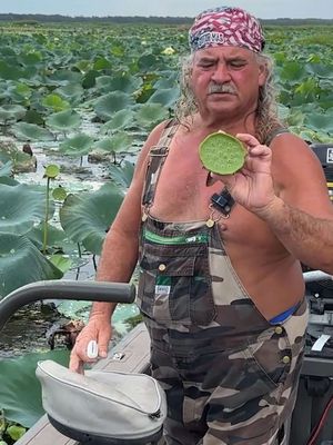 The real Cajun Peanuts! The American Lotus. #fyp #lotus #peanut #cajun 