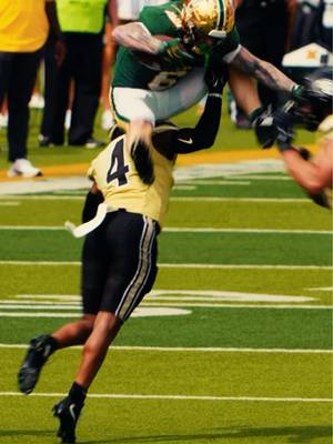 Keeping this on repeat #CollegeFootball #cfb #omgpage #sicem #sctop10 
