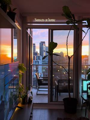 My fravourite time of day😌 #cozyhome #sunset #homedecor #houseplants #interiordesign 