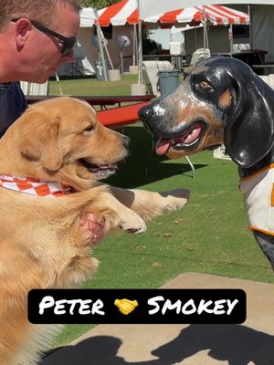 Peter and Smokey meet up 🤝 #tennessee #vols #knoxville #sec #cfb 