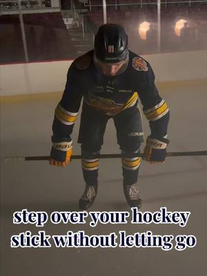 A for effort 😵‍💫 #erieotters #ohl #hockey #stepoverstick 