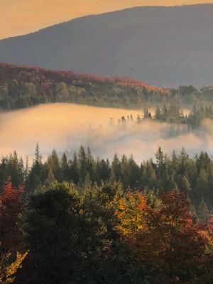Ma saison préférée est définitivement l'automne.