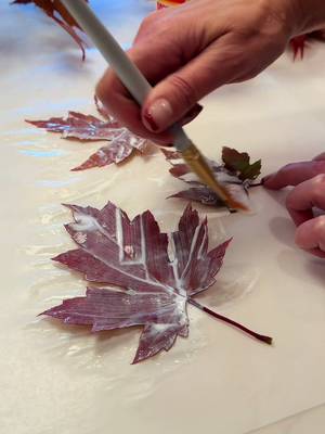 Real fall leaves are beautiful, and did you know you can preserve them with gloss mod podge? Coat one side, let it dry for about 30 minutes, flip it over, and coat the other side. It preserves the color and shape while keeping the leaves plyable and movable. Turn them into garland, ornaments, or use them throughout your fall, Halloween, and Thanksgiving decor without them, crumbling, curling up, or turning brown. #leaves #trees #decor #Home #fall